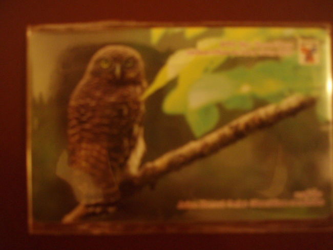 スカイスマートパス。明日はどこに行こうかな。とにかくバンコクに着きました。