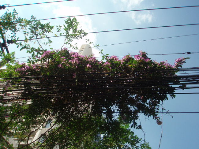 外はとっても暑いです。道もでこぼこです。