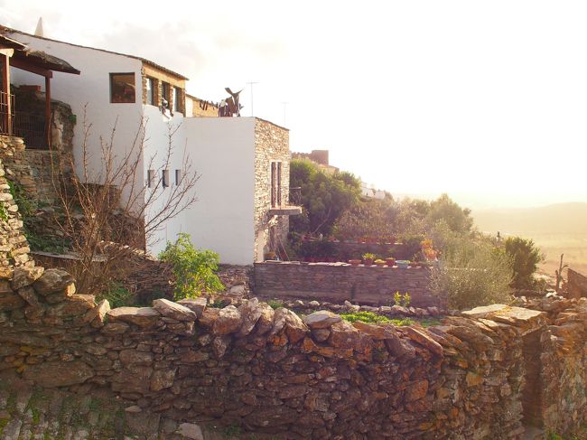 店を出ると　陽は傾いて　冬の日差しとは思えないほどに　力強い夕陽に目が眩みます。