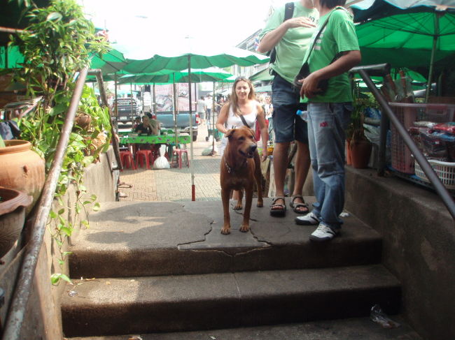 おとなしそうな犬がお出迎え。王宮やワットポーはガイドブックに載っているので行かなくてもいいかな？と思っていたので、予備知識なし。でも、降りてしまったから行ってみようかな。