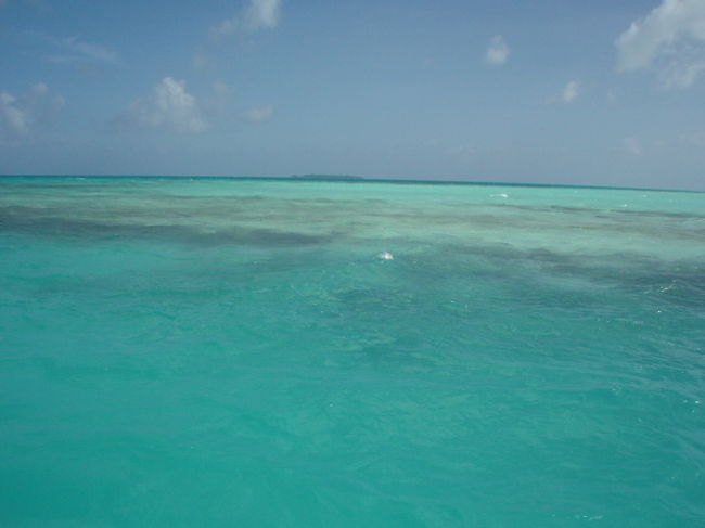 今日もダイビング。写真なし。１本目ジャーマンチャンネル。２本目ブルーコーナー。今日のダイビングは１本目のジャーマンチャンネルでマンタに遭いました。すごいよねー。２本目のブルーコーナーは潮の流れが早く、一人流された。怖かったー！！「よくパニックにならなかったね」と慰められながらも、体力のなさを痛感。