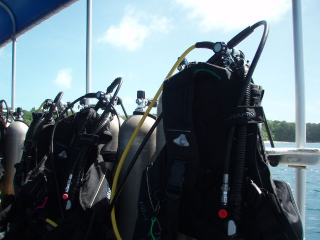 ２本で疲れてしまった。今日はこれで終了。でも、ナポレオンフィッシュの群れやらバラクーダやら、サメやら沢山見られました。