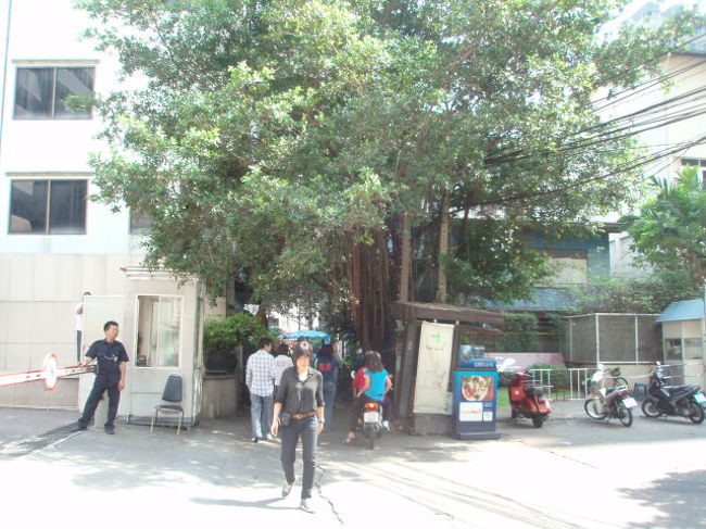 こんな細い道に入ります。