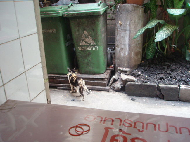 席についてメニューを見ます。英語表示有り。席に着くなり、「ビア？」と聞かれたので、思わずうなずいちゃいました。日本人だと思うと、ビア？っていうタイの人多くないですか？