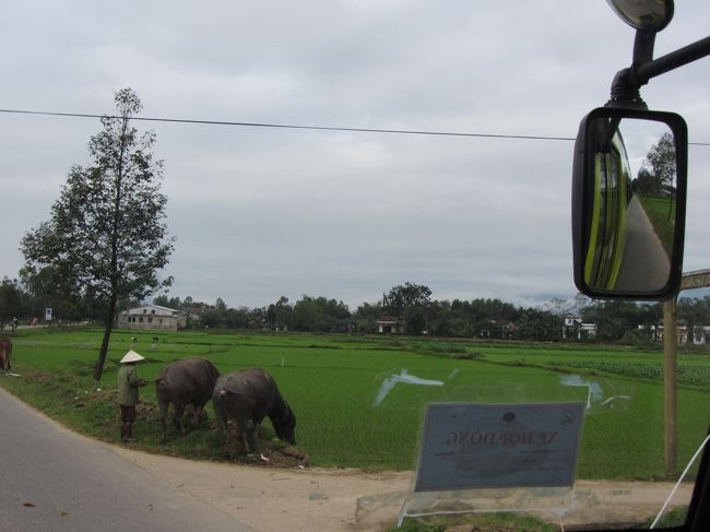 牛は危なかった！！