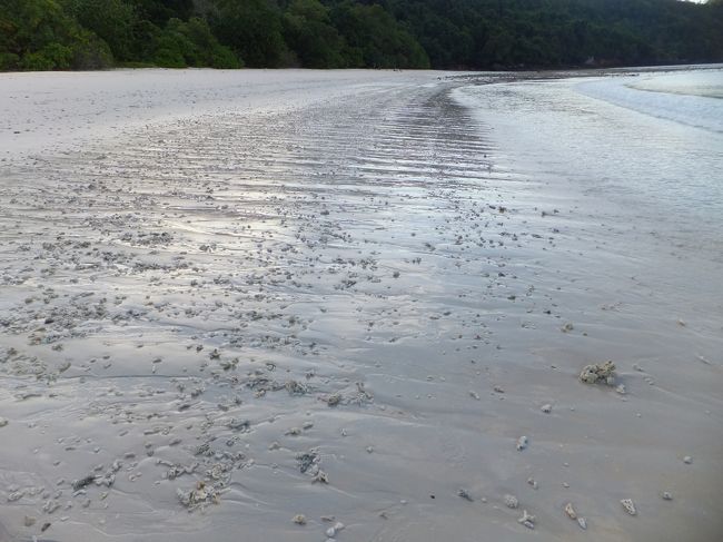 浜辺には、波と砂が作りだした不思議な模様が続いてます。