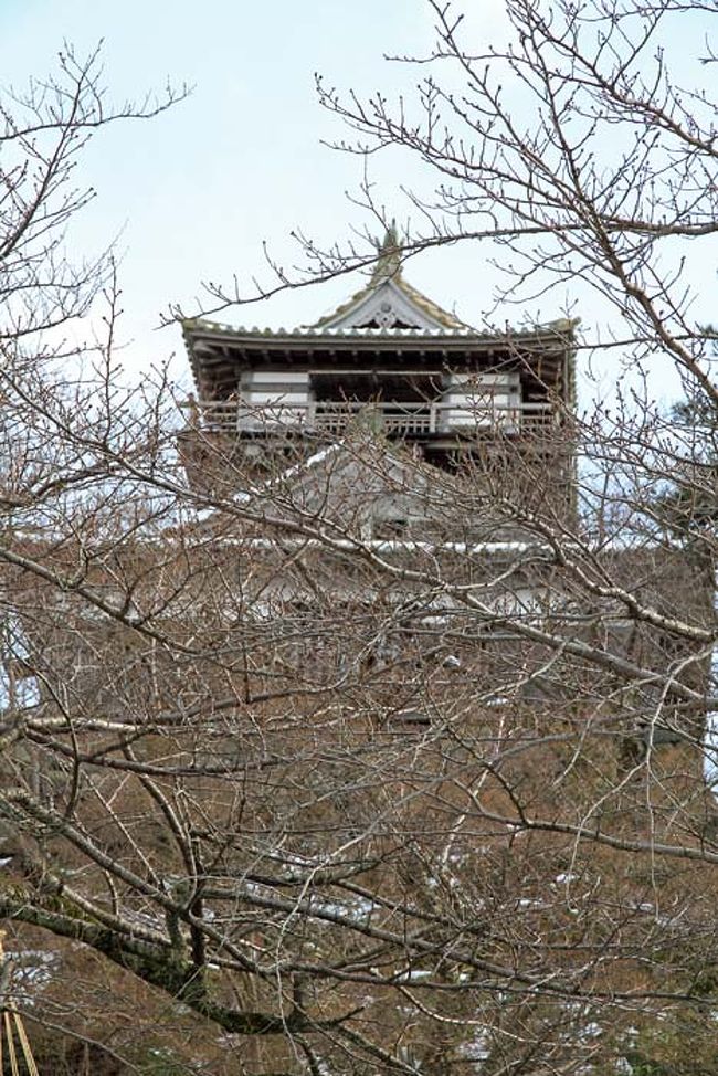 木が邪魔になって天守閣はよく見えず。<br /><br />けど春は桜の名勝なのだそうです。