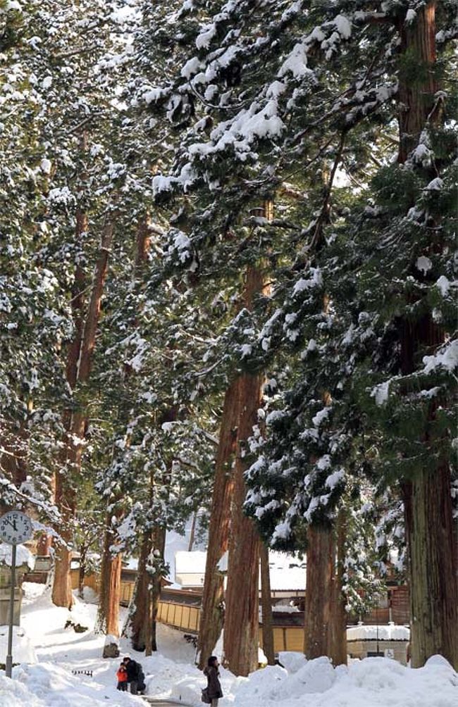 うっそうと立つ杉木立。<br /><br />寺院の建物のことを一般に伽藍（がらん）と呼びますが、永平寺は33万平方メートルの広大な敷地に、70余棟の諸堂が建立され、中でも次の７つのお堂は「七堂伽藍」と呼ばれ、日常の修行に欠かすことの出来ない重要な建物だそうです。<br /><br />法堂（はっとう）…説法や各種法要が行われる。<br />大庫院（だいくいん）…食事を司る台所をはじめ賓客の接待の間などがある。<br />仏殿…永平寺の御本尊、釈迦牟尼仏（しゃかむにぶつ）が祀られている。<br />僧堂…修行僧の根本道場で坐禅・食事・就寝などが行われる。<br />東司（とうす）…お手洗い。心身ともに清浄となることを心がける道場。<br />山門…永平寺最古の建物で、三解脱門とも称せられ、仏の世界に入る関門。<br />浴室…入浴も大切な修行なのだそうです。