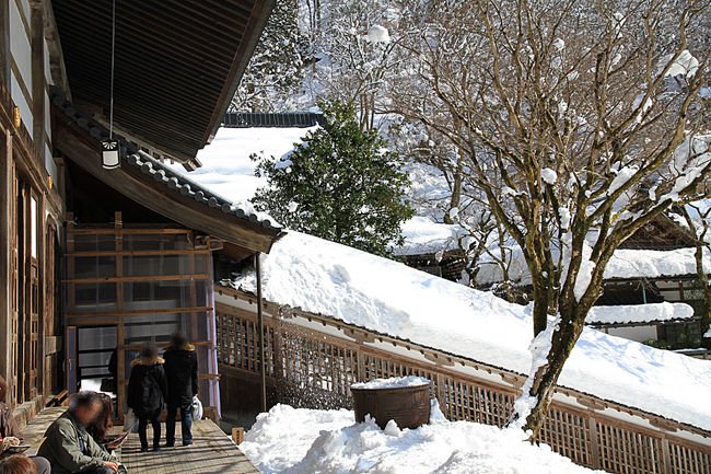 突然どどどーーーぉっ！<br /><br />という凄い音がしたのであわててシャッターをきりました。