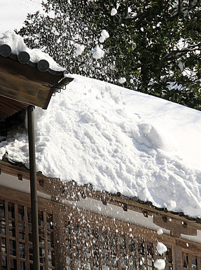 屋根に降り積もった雪が解けて落ちてきたようです。<br /><br />先日も雪に積もった雪の直撃を受けてお亡くなりになった人がいたというニュースがありましたが、こんなのに直撃を受けたら大変です。