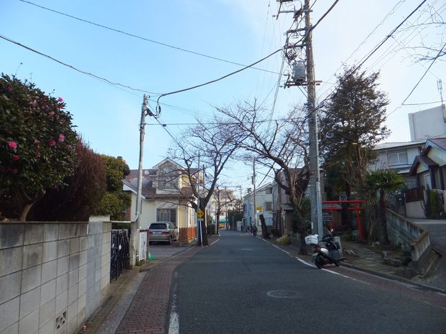 朝ごはんも食べずホテルをチェックアウトし、三渓園へ。<br />足は痛いわ、荷物はあるわでもたもたしながらバスに乗ると運賃前払い式。<br />運転手さんにPASMOでもいいよと言ってもらえたんですが、田舎者なので持ってませ〜ん(:;)<br />目的のバス停に着くまでに払えたのでよかったのですが、地元では運賃後払い式なので財布の準備が…。<br /><br />なんとか無事本牧三渓園前バス停に到着。そこから歩いて300ｍの三渓園に行ったのですが、キャリーバッグのゴロゴロという音が閑静な住宅街に響きまくり。<br />…タクシーにすればよかった(:;)9時前だったので大抵の人は起きているでしょうけど、寝ている人がいたら本当に申し訳なかったです(＞＜)<br /><br />本牧バス停から三渓園への道は桜がたくさん並んでいたので春には桜がきれいだろうな〜と思いました。