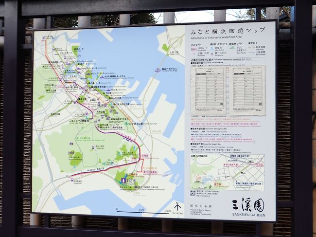 9時前到着。三渓園の門のすぐ横にあるお土産屋さんみたいな所にネコさんがたくさんいました。<br /><br />三渓園の看板をみると結構広い様子。<br />今日のこの足でどこまで歩けるだろうか。