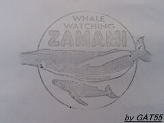 フェリー・ターミナル内に座間味村ホエールウォッチング協会の事務所があり、手続きをして午後の部13時〜15時に参加(5250円)。
座間味村ホエールウォッチング協会のホームページはhttp://www.vill.zamami.okinawa.jp/whale/