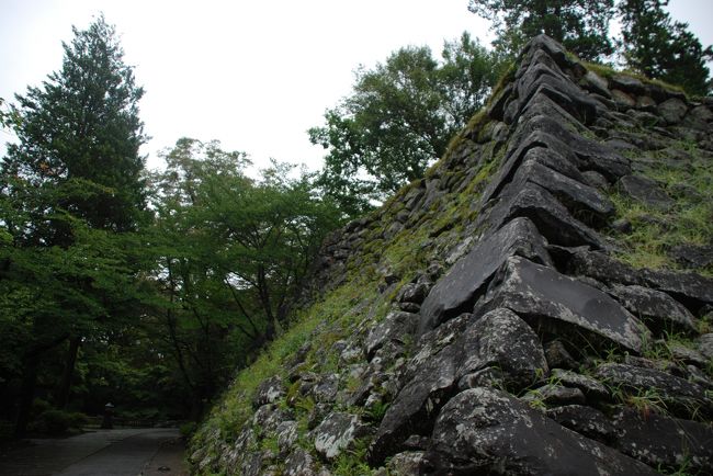 上田11:51→小諸12:11<br /><br />小諸駅より徒歩3分程。<br />12:20小諸城。<br />【小諸城：別名、酔月城。平山城。天守無し。日本100名城スタンプラリー50城目。】<br /><br />小諸13:38→小淵沢15:56着16:22発→甲府17:11着17:30発→大月18:24着18:38発→立川19:35