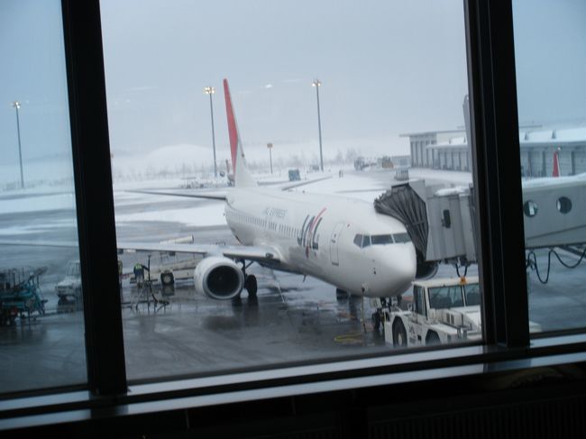 朝７時３０分頃、千歳から成田へ行く飛行機です。<br /><br />朝４時に起きバスで千歳空港へ向かう。<br />これから一週間母と２人。<br />バスの中で急に１人不安になり、普段酔わないのに<br />酔ってしまった　　笑<br /><br /><br />母の特技はどこでもいつでもすぐ寝れる事。<br />私の心配をよそに成田に着くまでほぼ寝て過ごす。<br /><br />が、悪天候だったため成田着が遅れてしまいました！！<br />予定でも乗り継ぎに１時間３０程しか時間が無かったので<br />職員さんもあわて気味。<br /><br />私の具合の悪さも加速。。。<br /><br />なのに写真を撮れとうるさい母　笑<br /><br />ギリギリ時間内に機内へ。<br />乗り換えに時間が少ないほうが全員急いで機内へ向かうので<br />定刻通りシャルル・ド・ゴールへ出発☆<br />