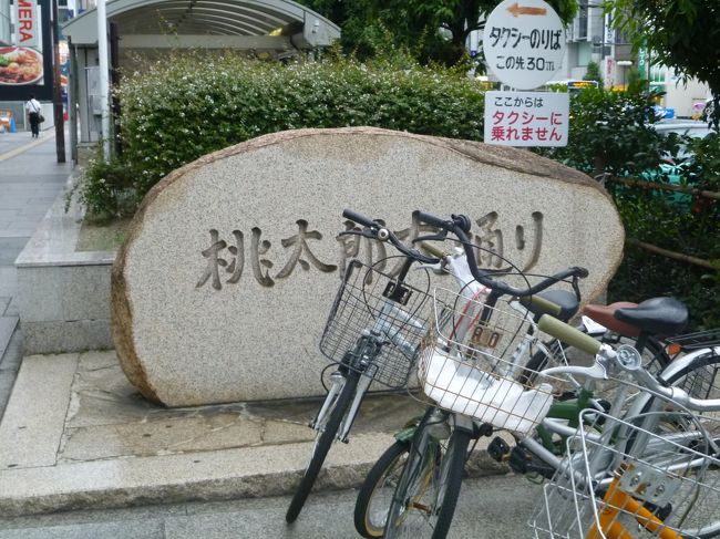 ビックカメラ 岡山 自転車
