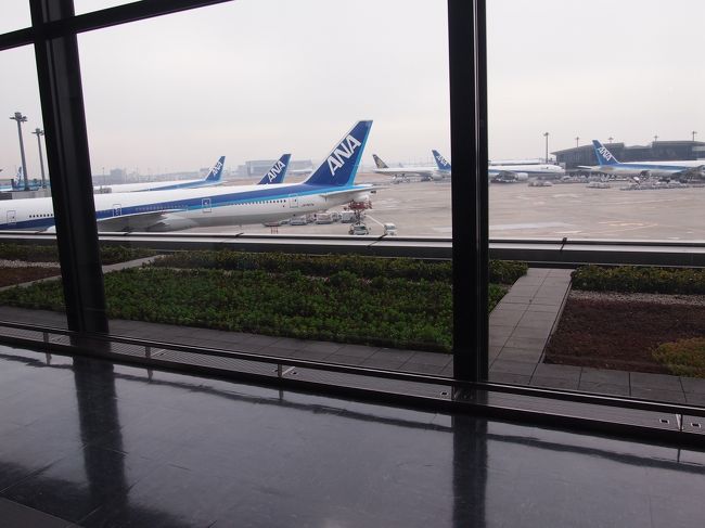 搭乗口付近へ行くと、大量の女子高校生？の集団が…。<br />どうやら、エコノミー満席の理由はこれだったみたいですね。<br />あとは、卒業旅行と思われる大学生グループや、添乗員さん付きのご年配の方のグループ等、皆さん楽しそうに搭乗を待ってました（＾＾