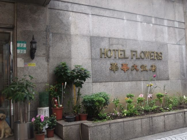 今日はラウンジを楽しむため、早めに空港へ向かいます。<br /><br />今回の宿はフラワーホテルでした。<br />台北ナビで１泊ツインで5,100円！<br />台北駅からも近いしオススメです。