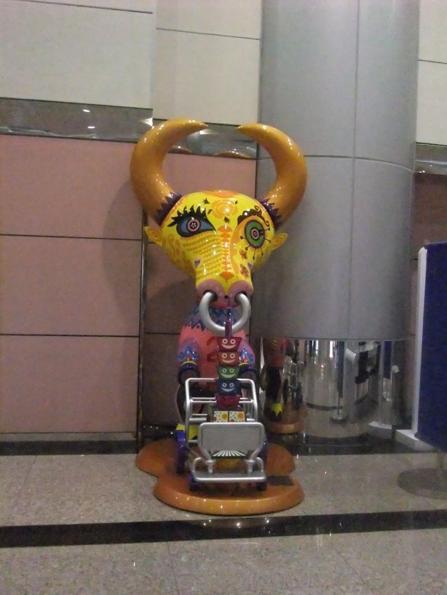 バスで１時間弱で空港に到着。<br /><br />牛がいました。