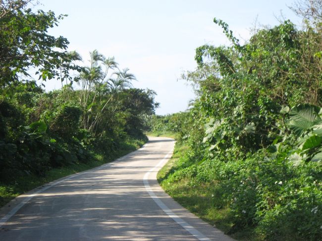 この先に広がる光景に胸躍らせながら、曲がりくねった道を急ぎます。