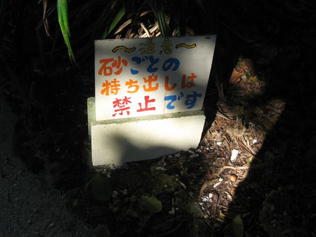 星の砂を採取するために、砂浜の砂を持ち帰る行為は禁じられています。<br />星の砂を持って帰りたい場合は、自分で砂浜の中から星の砂だけを選んで拾うか、お土産屋さんで購入するかいずれかの方法しかありません。