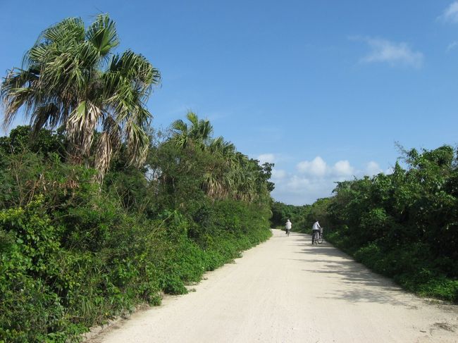 太陽の下、再び田舎道を自転車で走り始めます。
