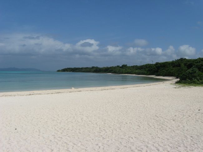 カーブした海岸線と、青々と茂る亜熱帯林が、ビーチの風景に彩りを添えます。