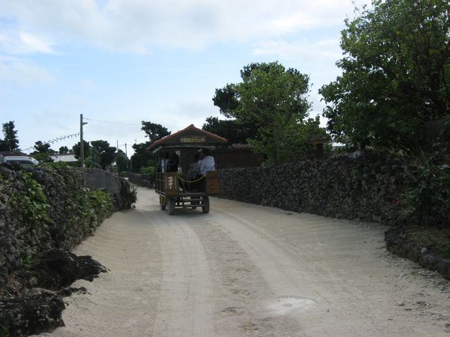 塔を降りて自転車を返しに行く途中に水牛車と遭遇しました。<br />昼ご飯を食べてから乗りに行きますか。