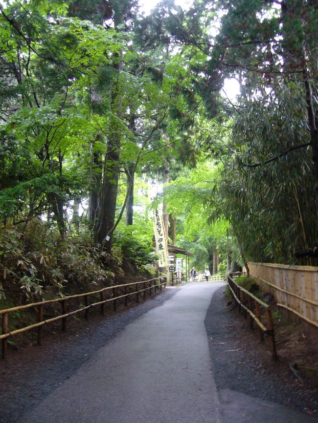 この坂を下って、この旅は終了。<br />天気が悪かったからか、あまり人も居なくてゆっくり見れました。<br />そして厳かな雰囲気を感じることが出来ました。<br />私たちが訪れた２年後の2011年、中尊寺は<br />「平泉−仏国土（浄土）を表す建築・庭園及び考古学的遺跡群」のうちの<br />一つとして世界遺産に登録されたのでした。<br />