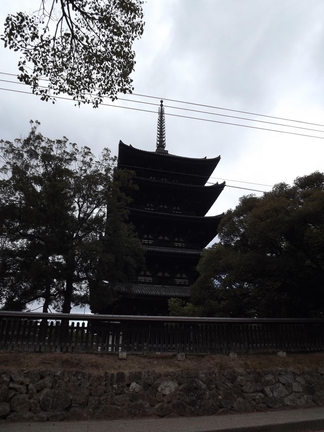 奈良公園、猿沢の池から　興福寺五重塔