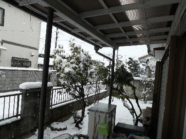 自宅の塀の映像です