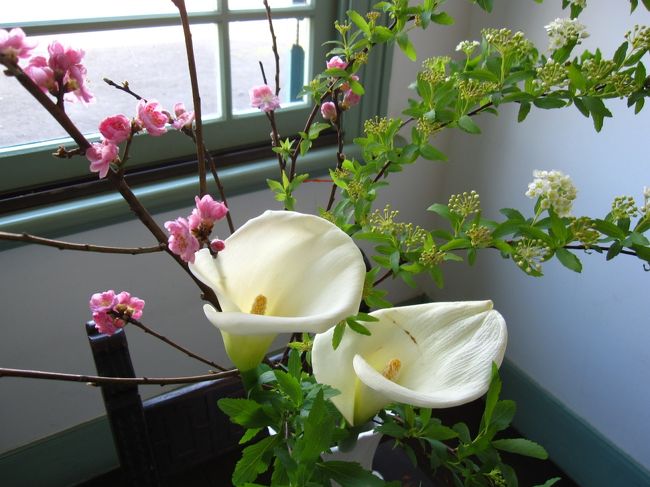 <br /><br />カラー<br /><br />コデマリ<br /><br />桃の花<br /><br />