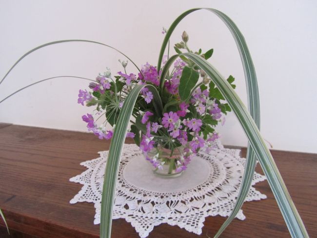 <br /><br />さわやかな紫色の小花