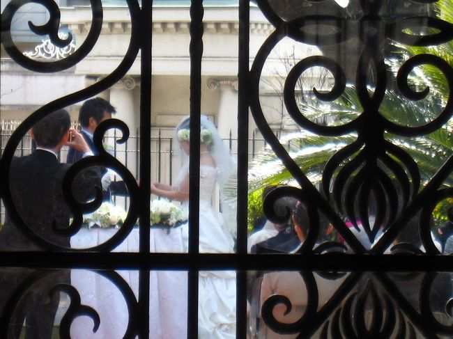 新郎・新婦　　指輪の交換の時。<br /><br /><br />ステキなシーンです。<br /><br /><br />お幸せに…♪<br /><br /><br />