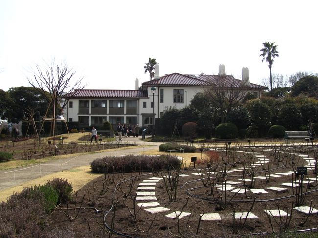 <br /><br /><br />港の見える丘公園　バラ園<br /><br /><br />５月に咲きそろうために剪定がされていました。