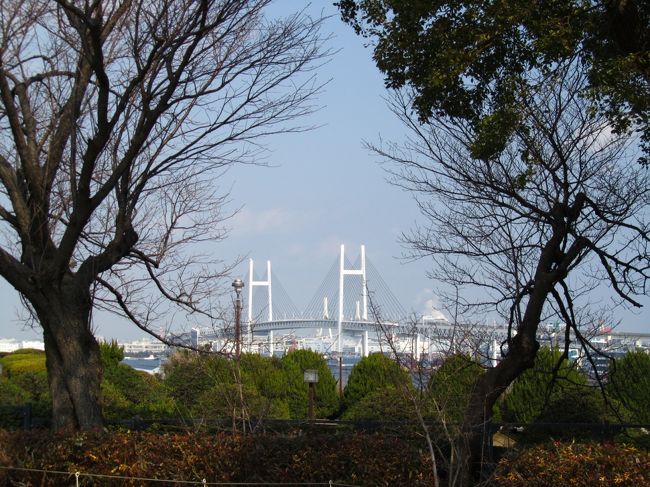 <br />冬木立のため、<br /><br />ベイブリッジもよく見えます。