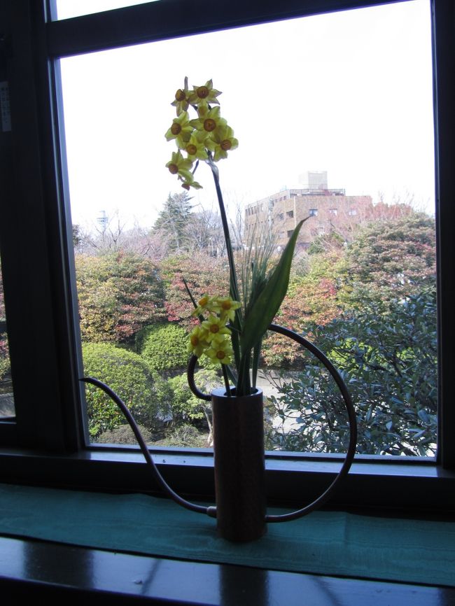 <br /><br /><br /><br />窓辺の水仙