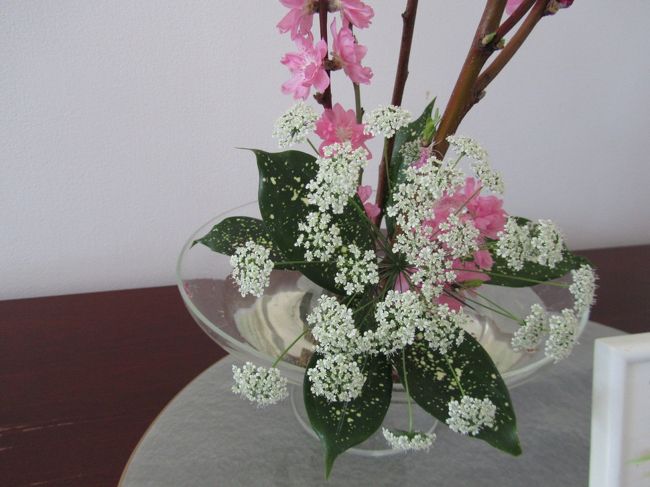 <br /><br />白い花は「レースフラワー」という花です。