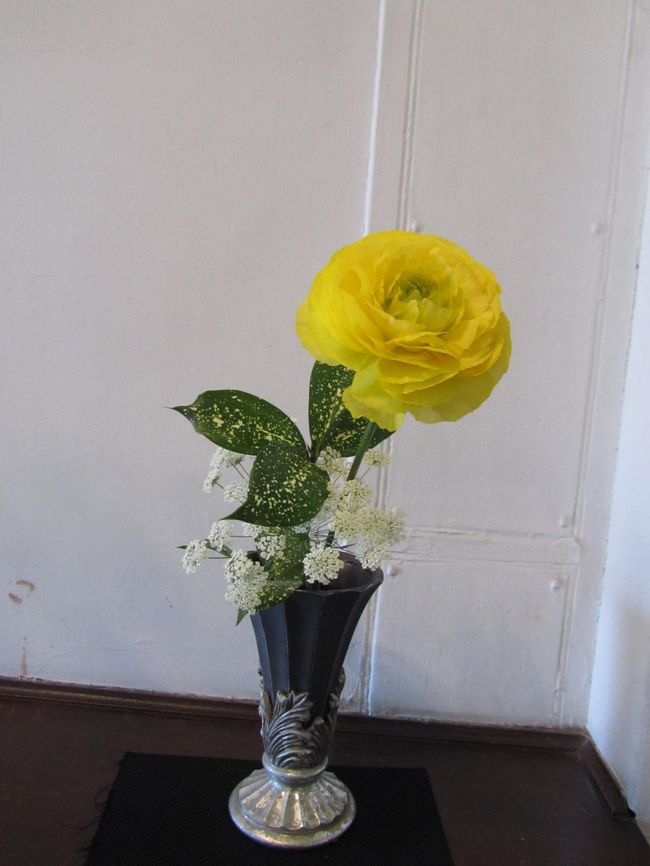 <br /><br /><br />黄色の花は、<br /><br />暖かな日差し、春の日差しをイメージします。