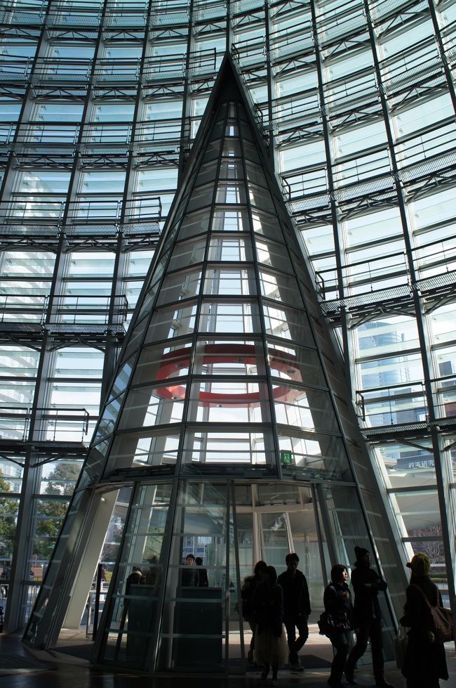 ガラスがふんだんに使われていて、光がたっぷりと差込む。