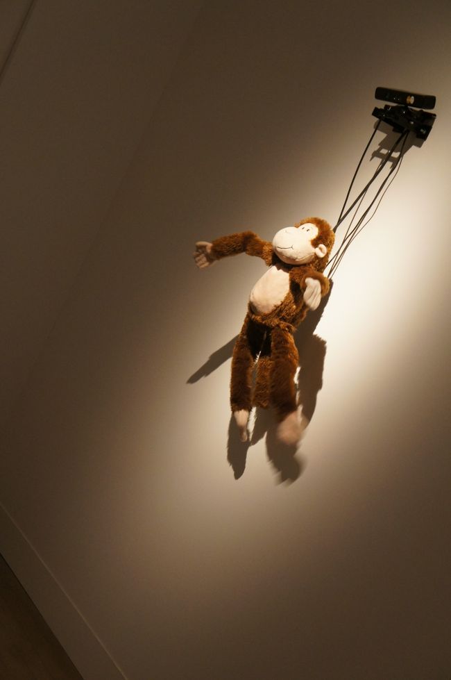 人の動きを読んで、同じ動きをするお猿ちゃん。<br /><br />相棒がトライしておりました（笑）