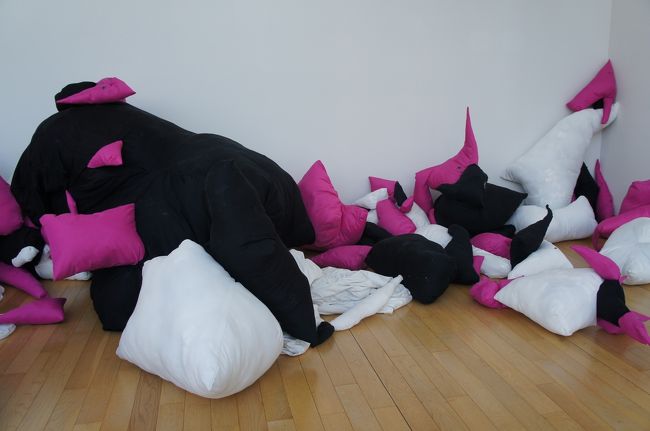 ただ無造作に置かれているようにしか見えないクッション？