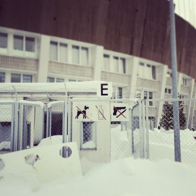 友人が中央駅に迎えにきてくれて、ひさしぶりの再会。雪の中を歩いて、ユースホステルにチェックイン。