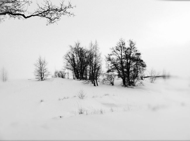 凍りついた海辺を散歩。どんなに寒くても、フィンランド人は散歩が大好きだそうです。家族で過ごす時間のなかでも、散歩というのは重要な位置をしめているとか。