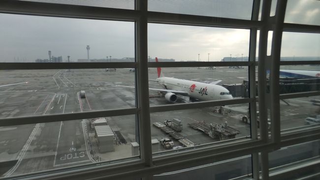 久しぶりのJALです。<br /><br />待合所でよからぬアナウンス<br />「本日は激しい向かい風で気流が大変悪く、シートベルト着用サインが消えないかもしれません。お手洗いはお済ませになって機内へきてね」<br /><br />みたいなアナウンス<br /><br />ええぇぇぇぇぇぇぇ　　恐<br /><br />