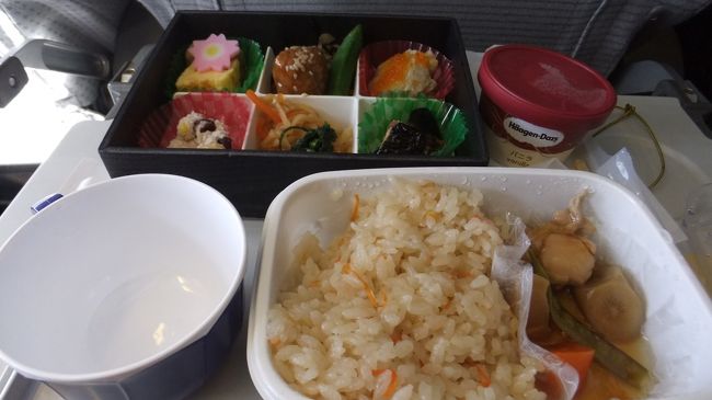 心配していたようなこともなく、機内食のサービスありました。<br /><br />機内食にハーゲンダッツのアイス<br /><br /><br /><br />美味しかったの。