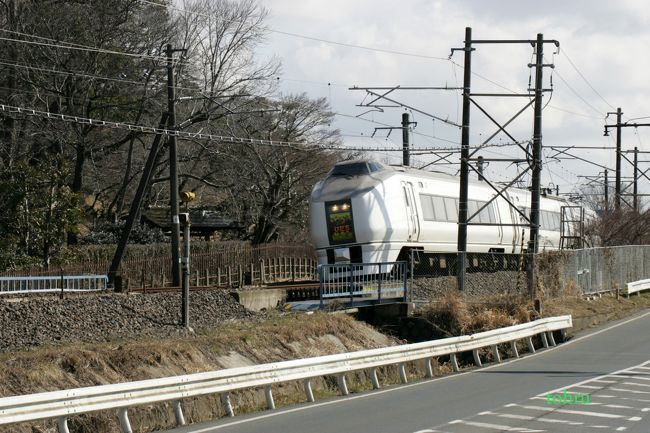臨時特急「復興いわきフラガール号」』水戸(茨城県)の旅行記