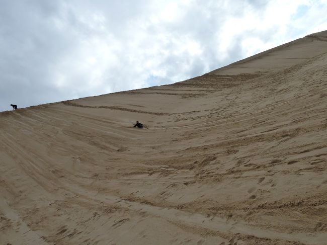 さぁ、ドライバーさんに板を借りて、<br />指示に従いみんなで砂丘を歩いて登ります。<br /><br />結構急な角度でしたよ。<br />砂を登るのは足にきます。<br />登らず下で待機していたお父さんもいらっしゃいました。<br /><br />当時9歳の娘は何本も滑っており、<br />最後は小雨が降ってきたので泣く泣く断念していました。<br /><br />当時5歳の息子は、最初の一本は一人で滑ったのですが、<br />見ていてあまりにも怖かったので、<br />二本目からは私と二人乗りで滑りました。
