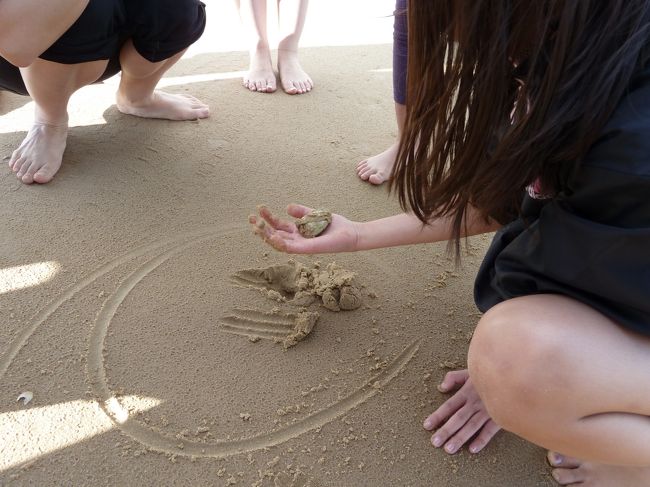 海辺に来て何をするかというと、貝拾い体験です。<br /><br />写真のように、予めツアーの方で貝を見付けやすいように丸を描いてくれていました。<br />そこを掘ると貝が出てきます。
