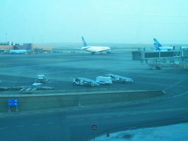 16時頃発のエジプト航空直行で成田へ。